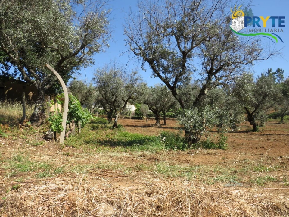 Quinta T5 para Venda em Sertã Foto 129