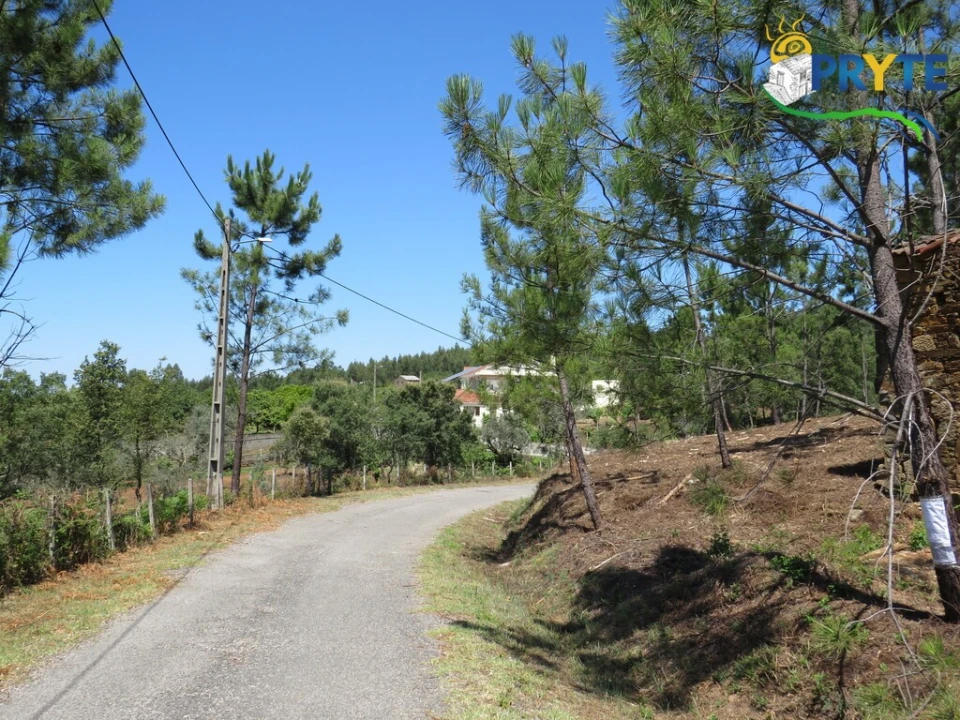 Quinta T5 para Venda em Sertã Foto 131