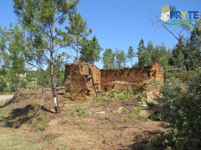 Quinta T5 para Venda em Sertã Foto 24