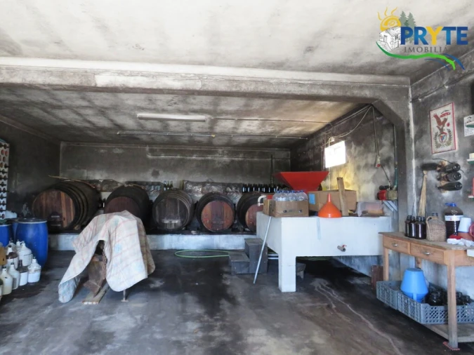 Quinta T5 para Venda em Sertã Foto 49