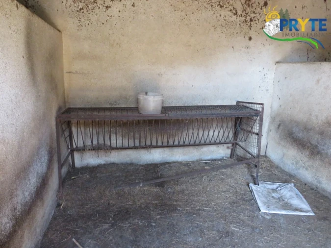 Quinta T5 para Venda em Sertã Foto 83