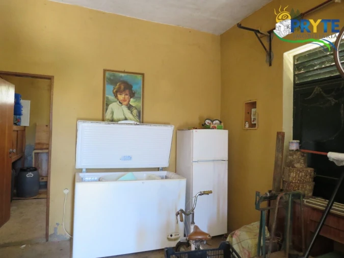 Quinta T5 para Venda em Sertã Foto 106