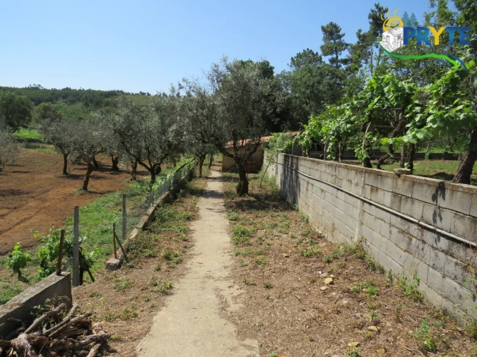 Quinta T5 para Venda em Sertã Foto 128