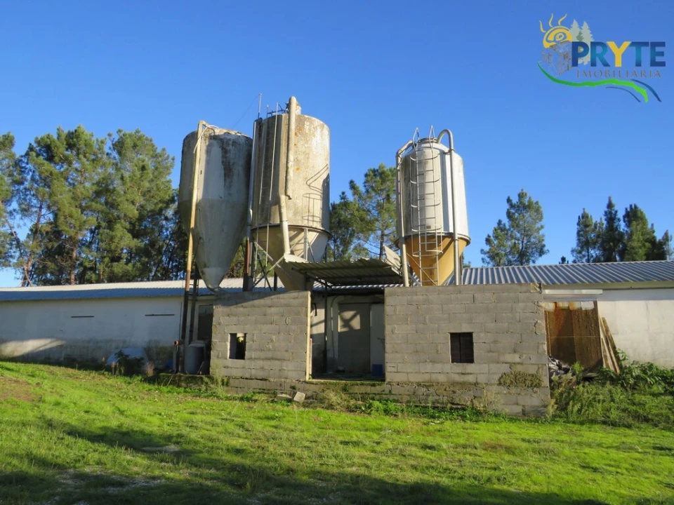 Armazém para Venda em Varzea dos Cavaleiros Foto 1