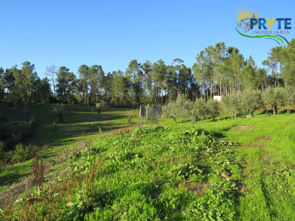 Armazém para Venda em Varzea dos Cavaleiros Foto 7