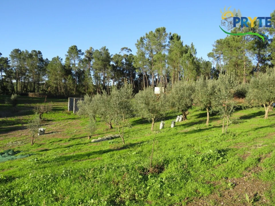 Armazém para Venda em Varzea dos Cavaleiros Foto 10