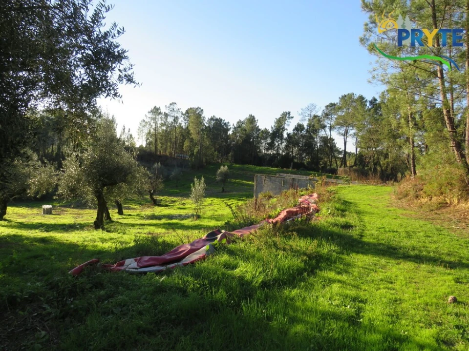 Armazém para Venda em Varzea dos Cavaleiros Foto 12