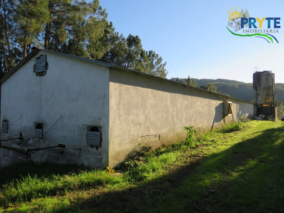 Armazém para Venda em Varzea dos Cavaleiros Foto 14