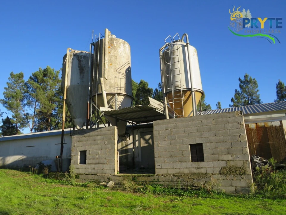 Armazém para Venda em Varzea dos Cavaleiros Foto 15