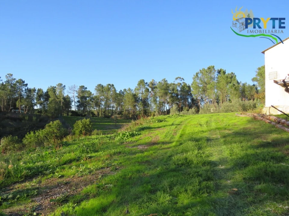 Armazém para Venda em Varzea dos Cavaleiros Foto 18