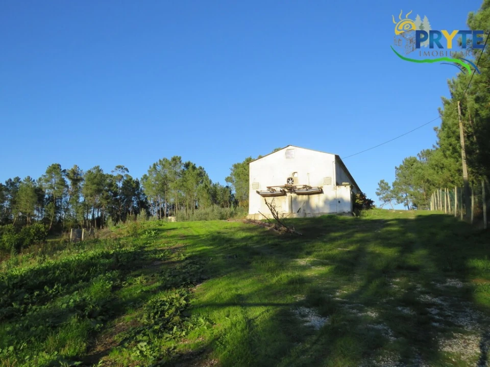 Armazém para Venda em Varzea dos Cavaleiros Foto 19