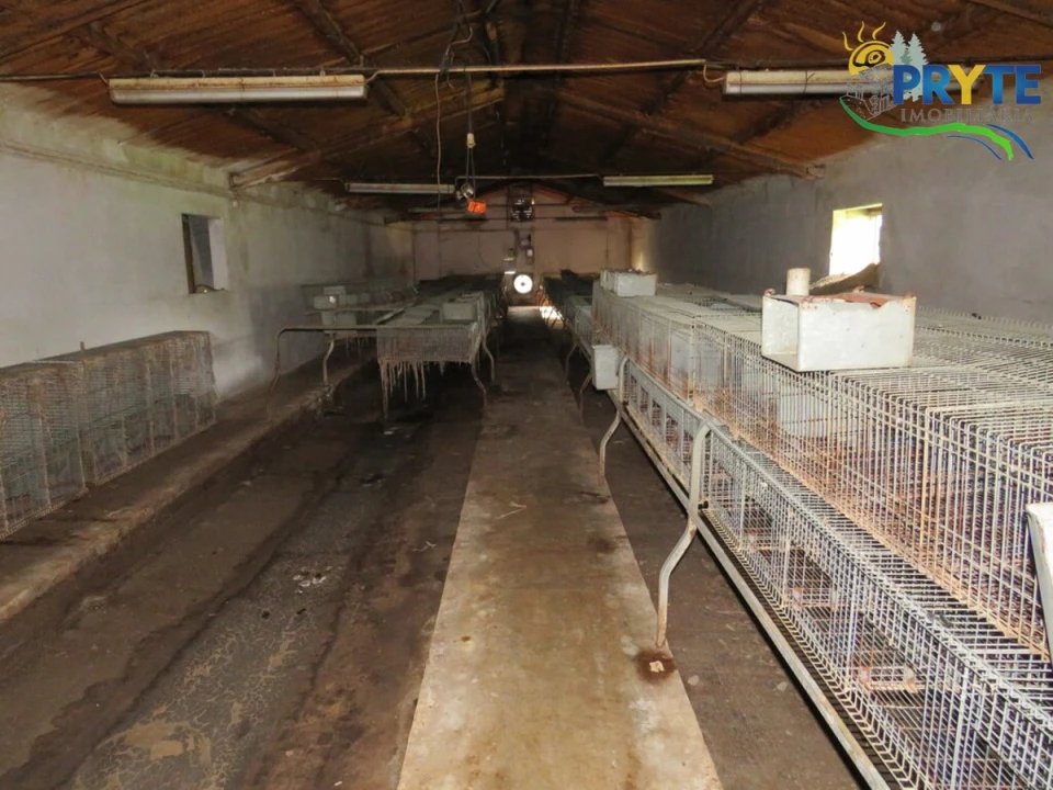 Armazém para Venda em Varzea dos Cavaleiros Foto 20