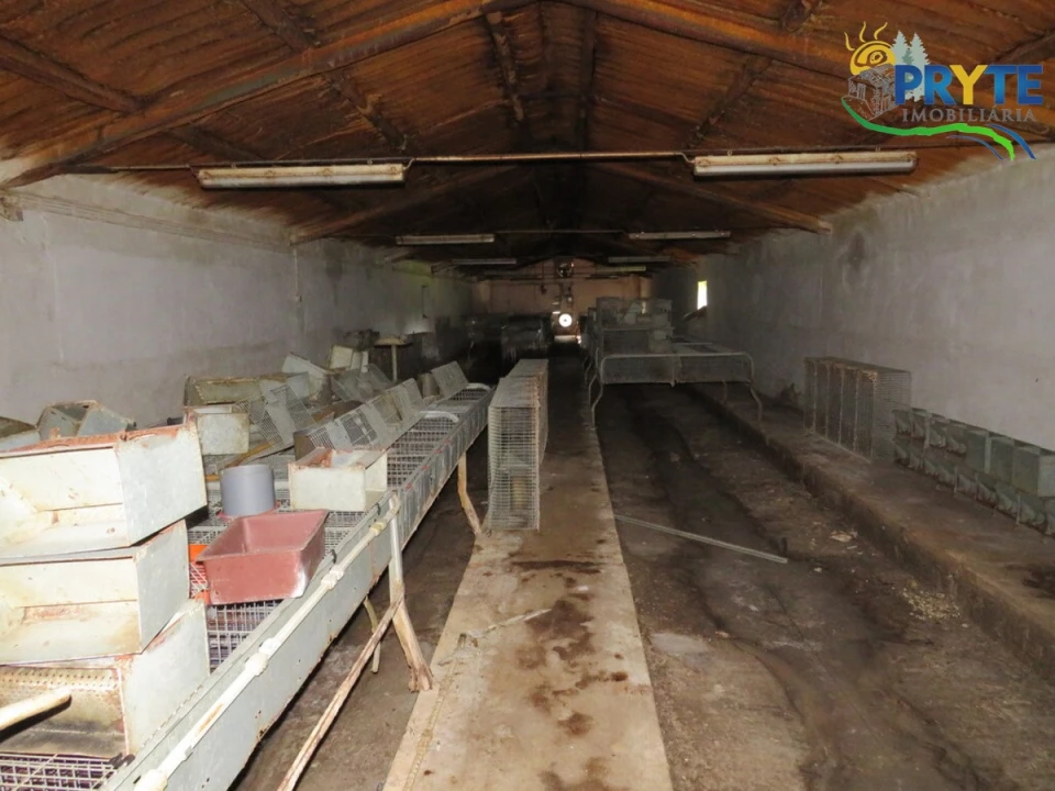 Armazém para Venda em Varzea dos Cavaleiros Foto 21