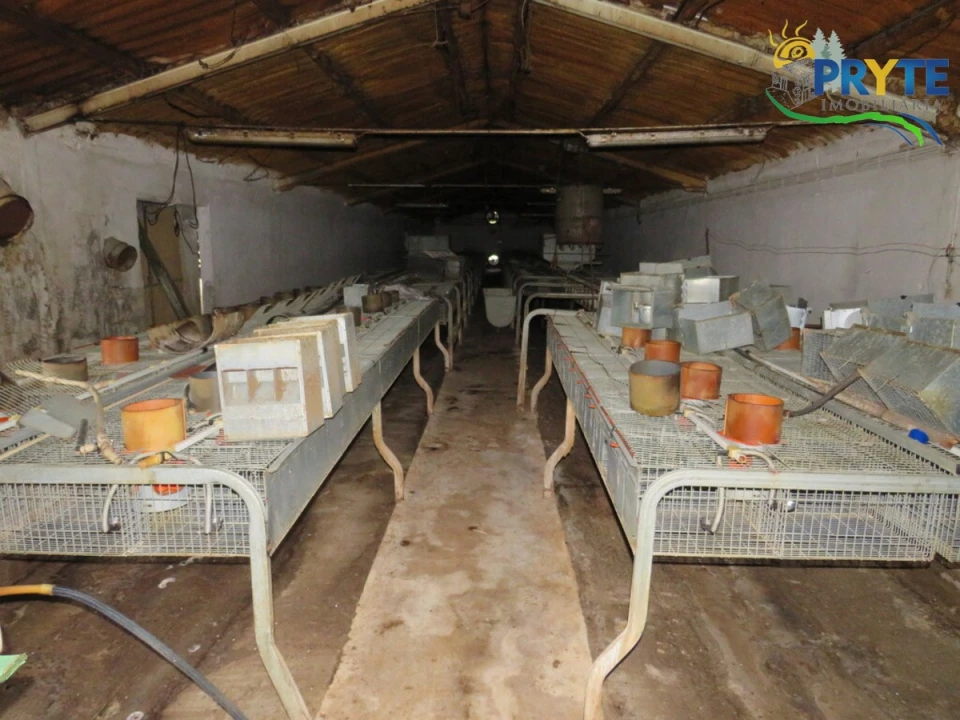 Armazém para Venda em Varzea dos Cavaleiros Foto 22