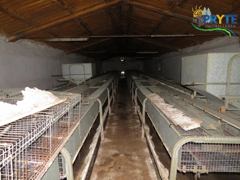 Armazém para Venda em Varzea dos Cavaleiros Foto 23