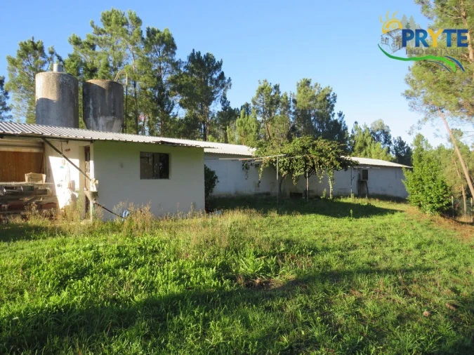 Armazém para Venda em Varzea dos Cavaleiros Foto 2