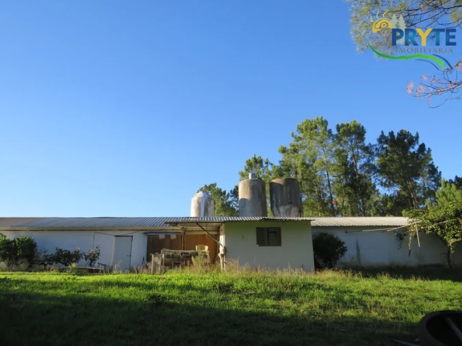 Armazém para Venda em Varzea dos Cavaleiros Foto 3