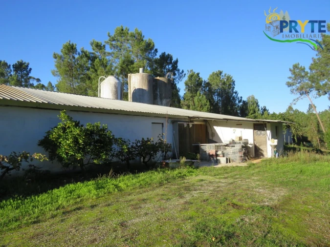 Armazém para Venda em Varzea dos Cavaleiros Foto 4