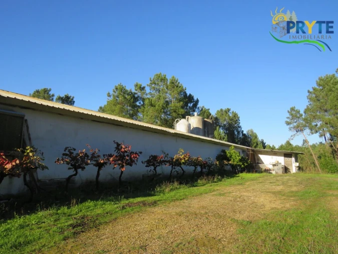 Armazém para Venda em Varzea dos Cavaleiros Foto 5