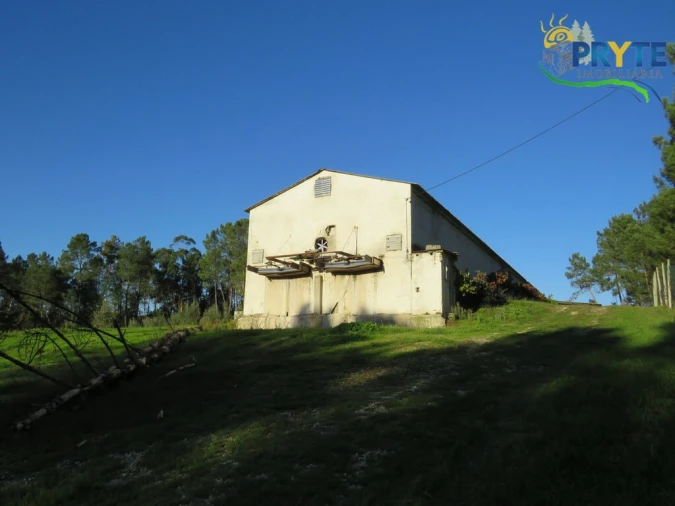 Armazém para Venda em Varzea dos Cavaleiros Foto 6