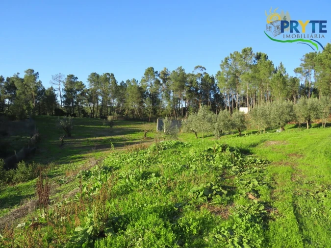 Armazém para Venda em Varzea dos Cavaleiros Foto 7