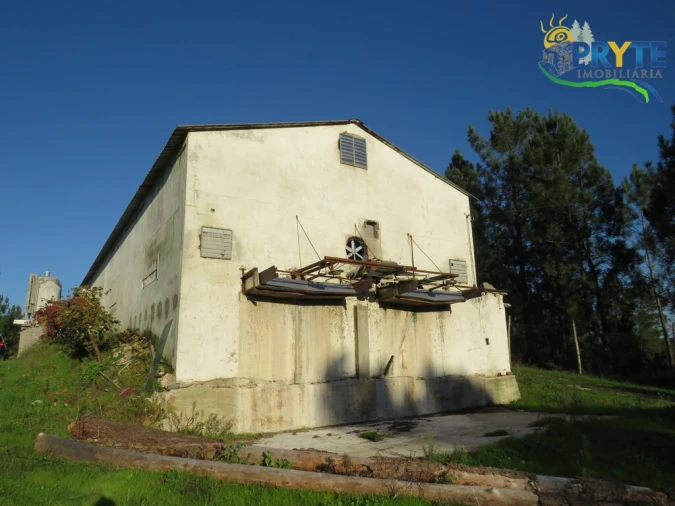 Armazém para Venda em Varzea dos Cavaleiros Foto 8