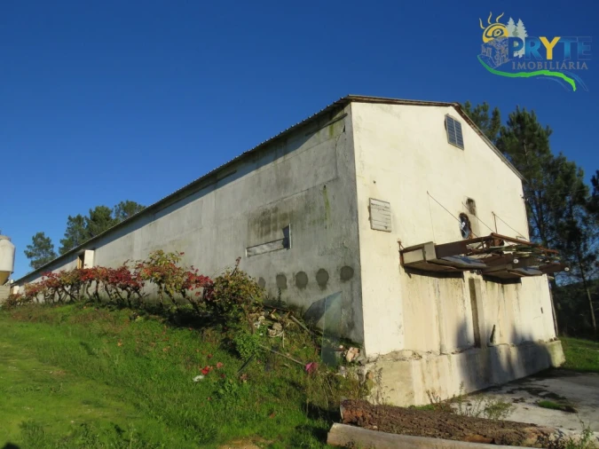 Armazém para Venda em Varzea dos Cavaleiros Foto 9
