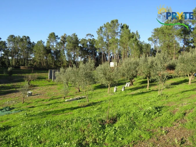 Armazém para Venda em Varzea dos Cavaleiros Foto 10