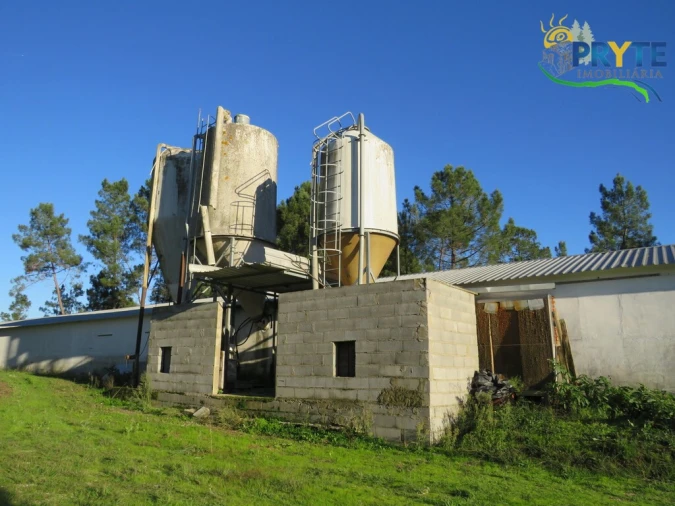 Armazém para Venda em Varzea dos Cavaleiros Foto 11