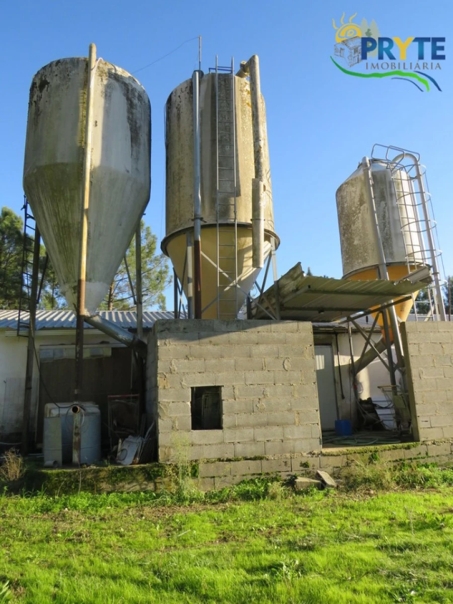 Armazém para Venda em Varzea dos Cavaleiros Foto 13