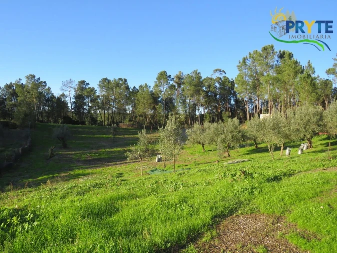 Armazém para Venda em Varzea dos Cavaleiros Foto 16