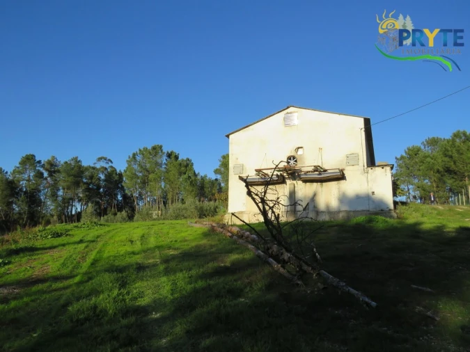 Armazém para Venda em Varzea dos Cavaleiros Foto 17