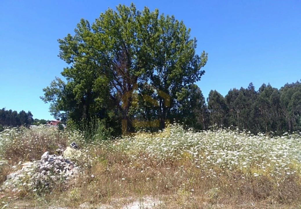 Terreno Agricola ou Rústico para Venda em Retorta e Tougues Foto 4