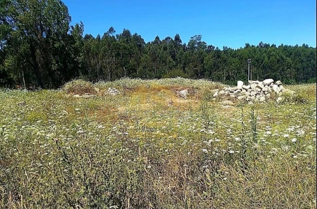 Terreno Agricola ou Rústico para Venda em Retorta e Tougues Foto 5