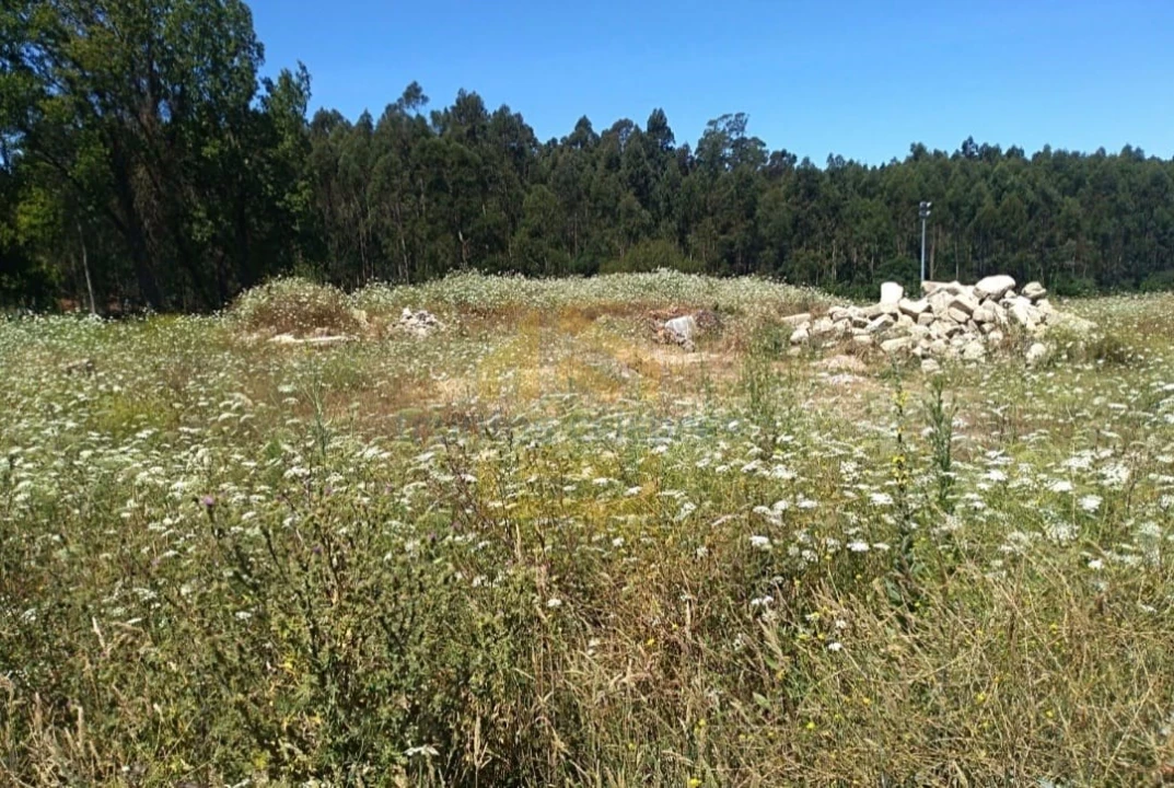Terreno Agricola ou Rústico para Venda em Retorta e Tougues Foto 7