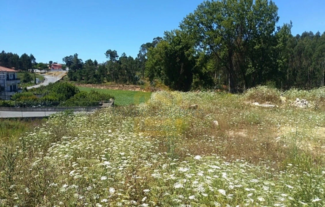 Terreno Agricola ou Rústico para Venda em Retorta e Tougues Foto 11