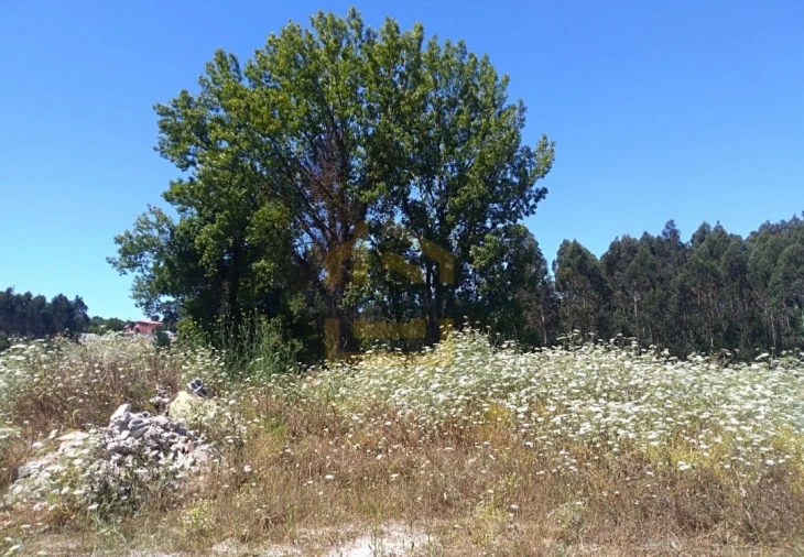 Terreno Agricola ou Rústico para Venda em Retorta e Tougues Foto 4