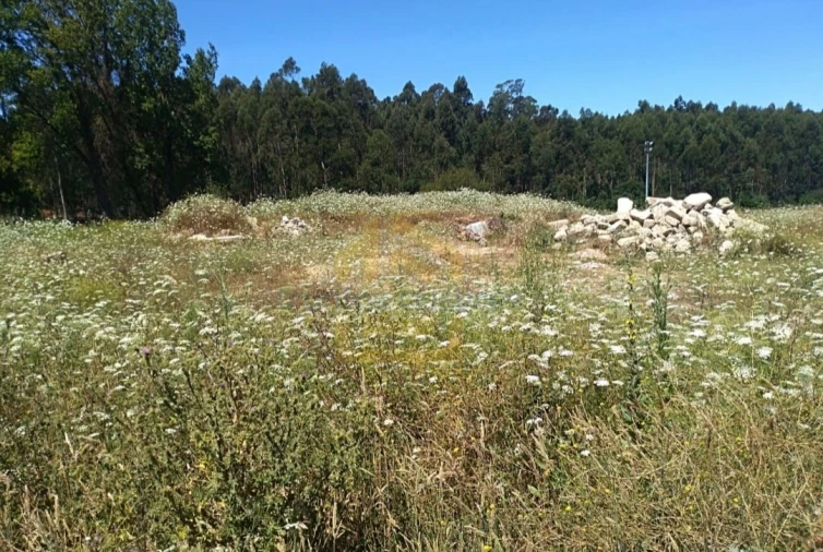 Terreno Agricola ou Rústico para Venda em Retorta e Tougues Foto 7