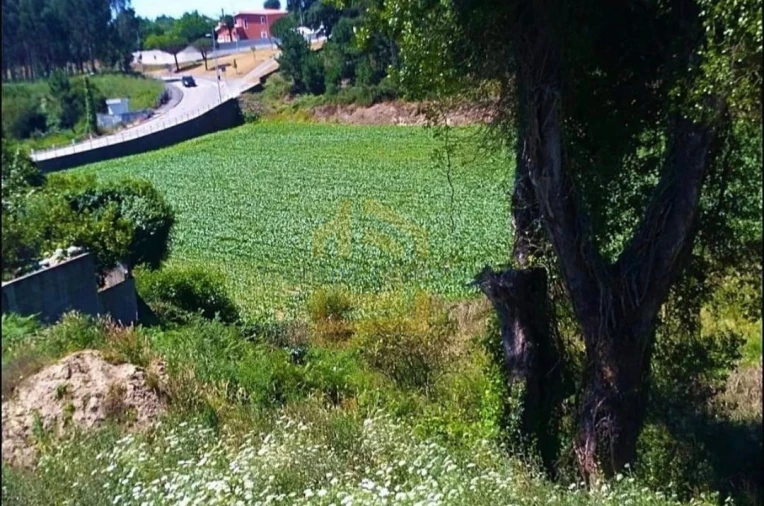 Terreno Agricola ou Rústico para Venda em Retorta e Tougues Foto 12