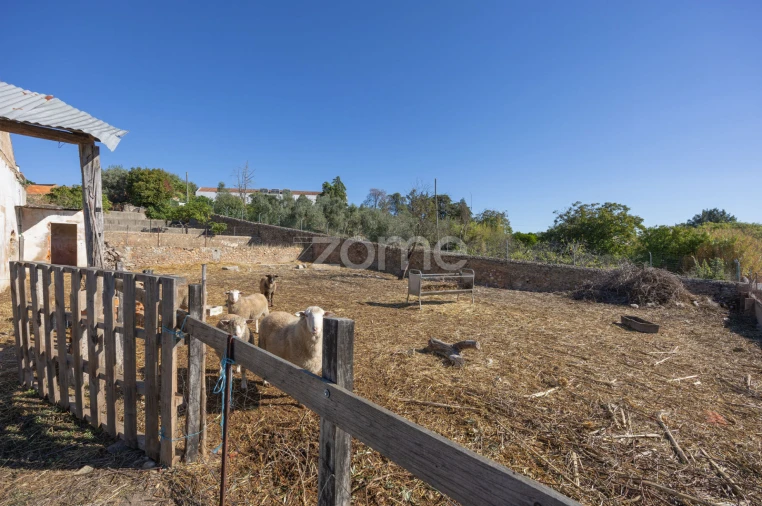 Quinta T1 para Venda em Montalvo Foto 14