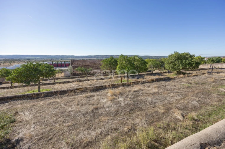 Quinta T1 para Venda em Montalvo Foto 23