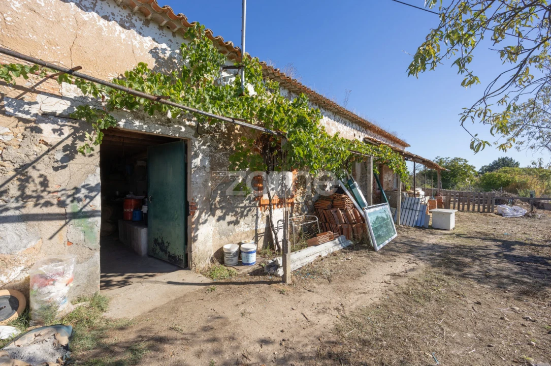 Quinta T1 para Venda em Montalvo Foto 1