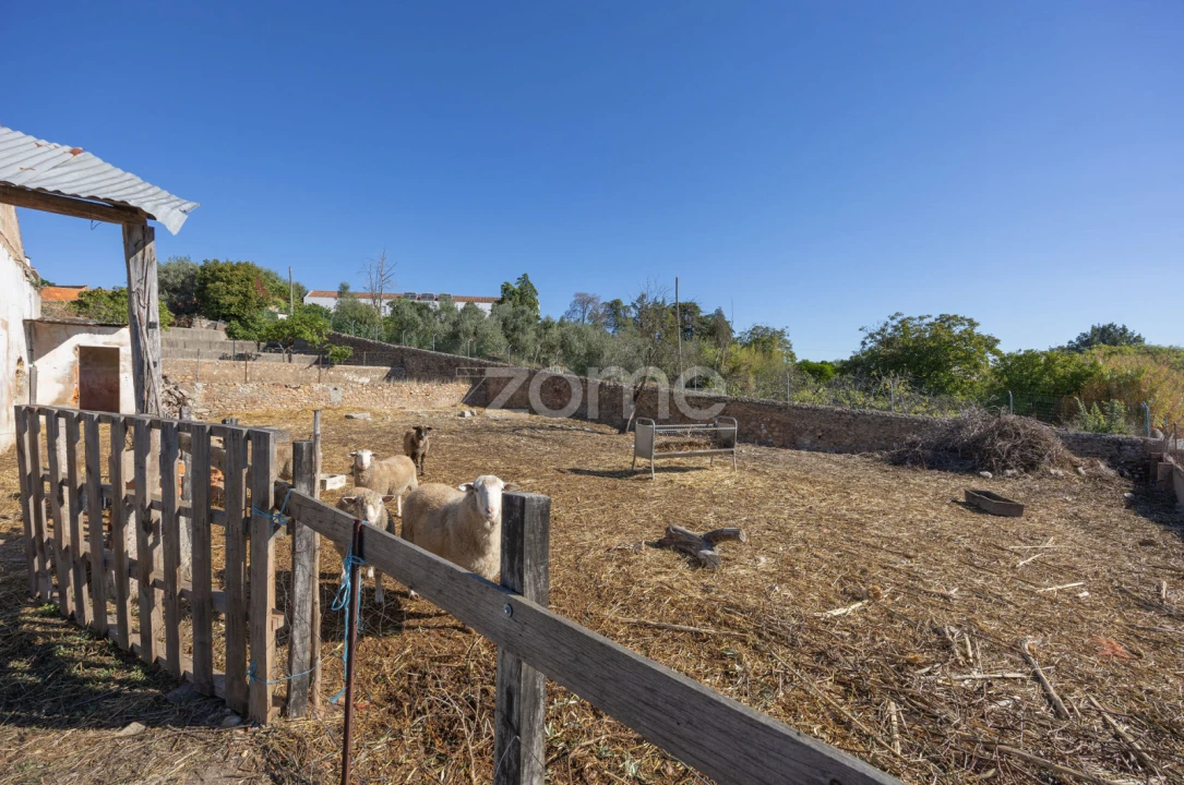 Quinta T1 para Venda em Montalvo Foto 14