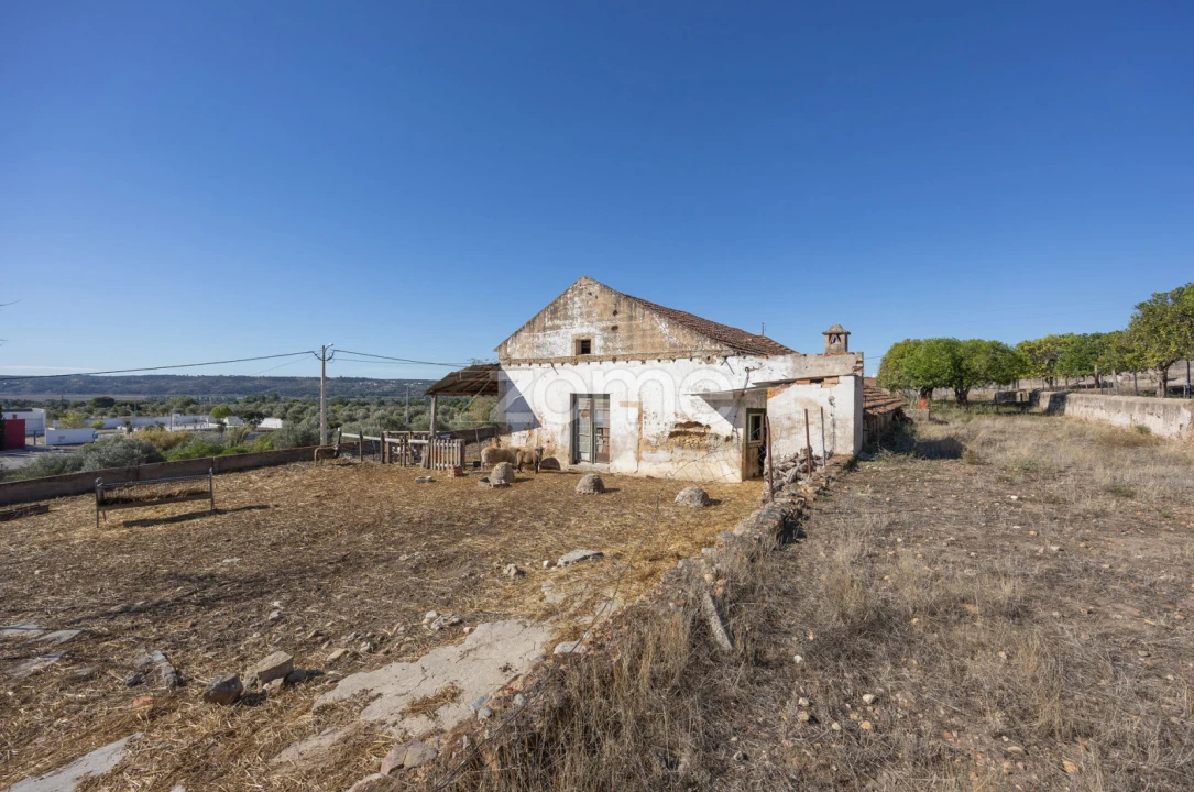 Quinta T1 para Venda em Montalvo Foto 16