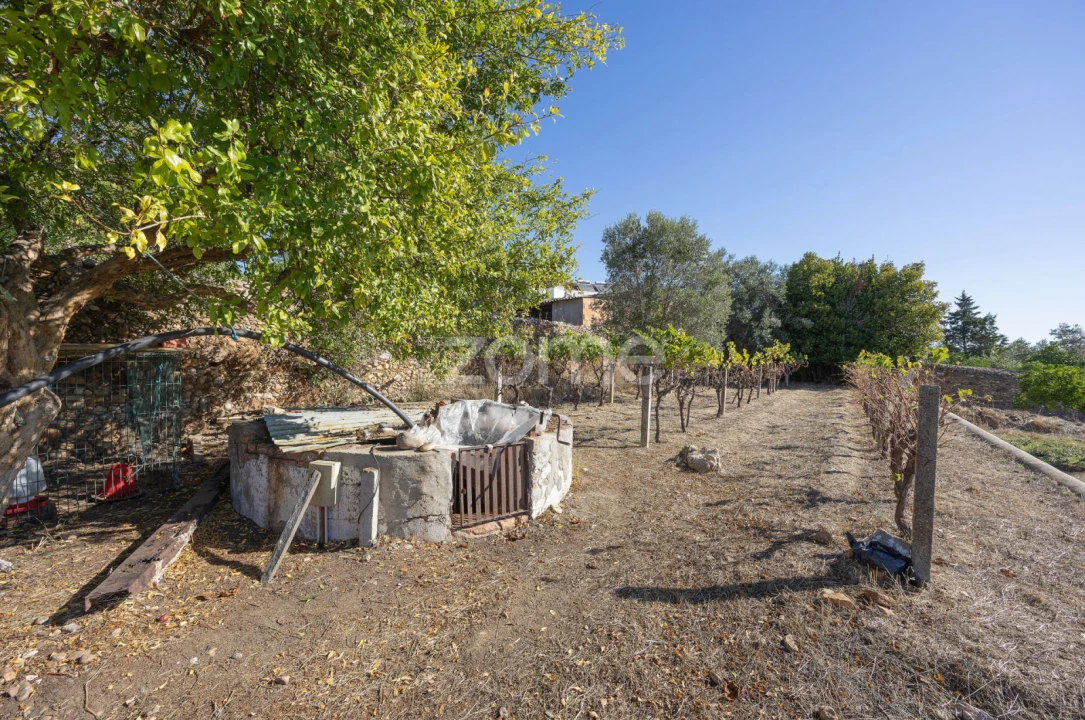 Quinta T1 para Venda em Montalvo Foto 19