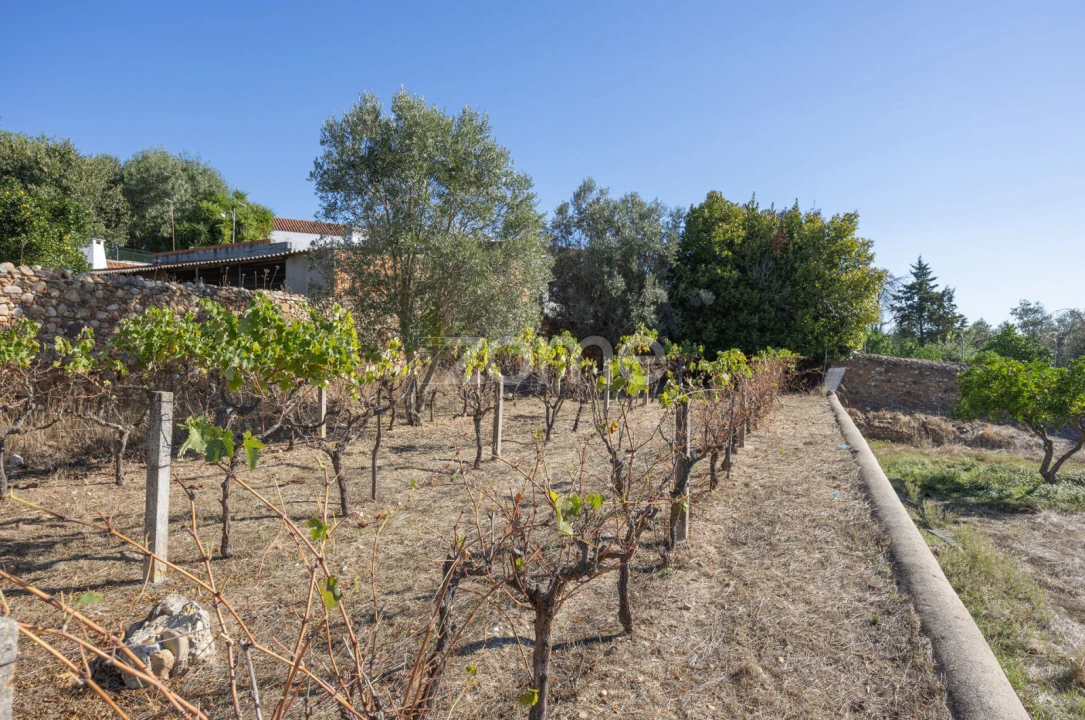 Quinta T1 para Venda em Montalvo Foto 22