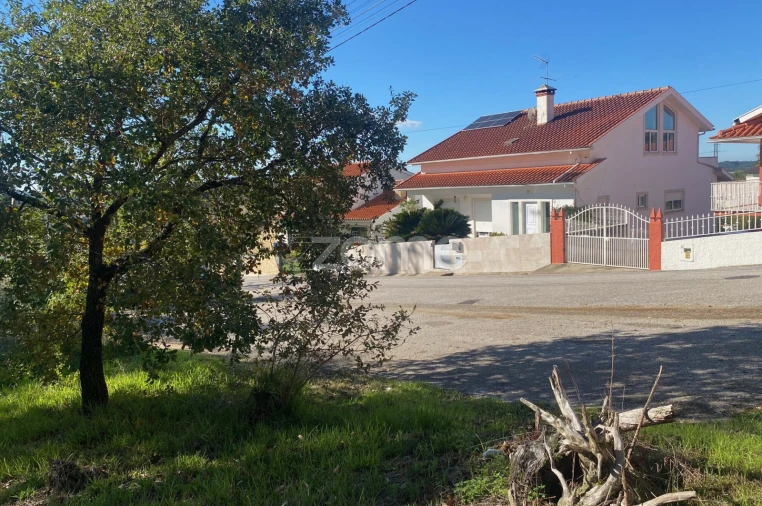 Terreno para Venda em Pampilhosa Foto 8