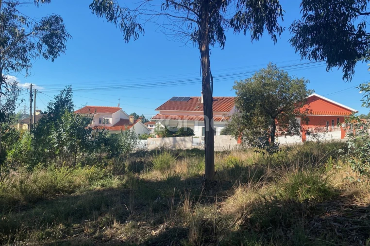 Terreno para Venda em Pampilhosa Foto 15