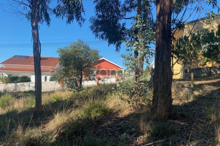 Terreno para Venda em Pampilhosa Foto 16