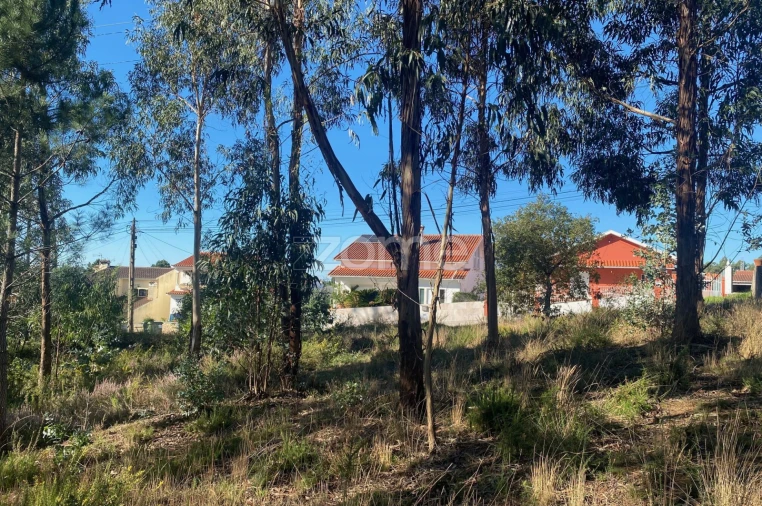 Terreno para Venda em Pampilhosa Foto 19